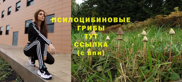 бошки Корсаков