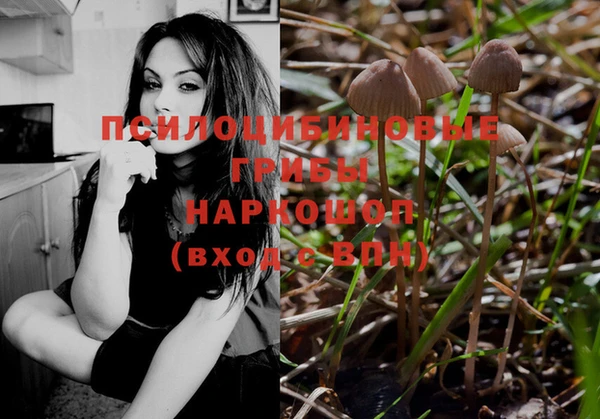 бошки Корсаков