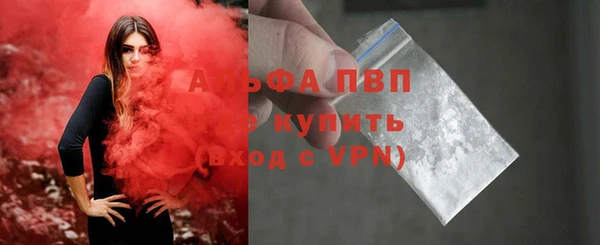 бошки Корсаков