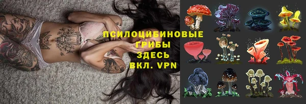 бошки Корсаков