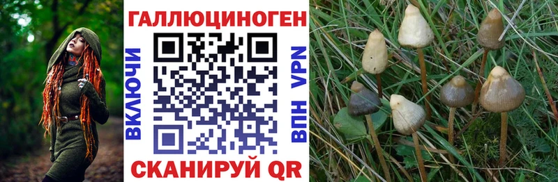 Псилоцибиновые грибы MAGIC MUSHROOMS  Купить закладки  Малмыж 