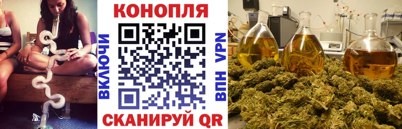 Конопля сатива  Купить где  Малмыж 